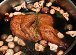 TENDERREADY® Coq au Vin